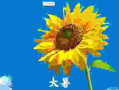 科普牛郎织女是什么星座?教你轻松在大暑节气观测