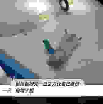 猜猜两耳不闻窗外事代表什么生肖?这里有最全的答案解析!