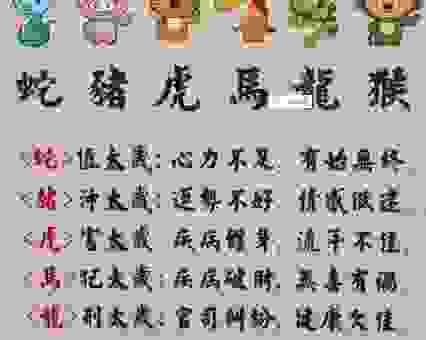 牛羊不辨家食草虎视眈眈春满园是什么生肖？解析谜底！