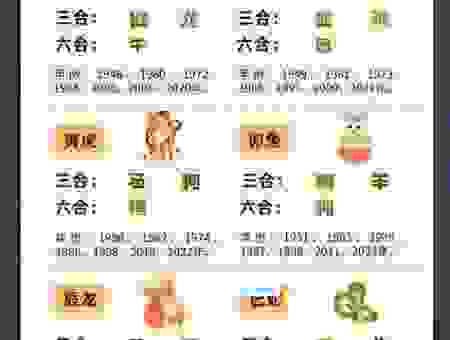 白首空归指的是哪个生肖？从成语含义解读正确的生肖！