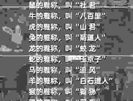 头上戴冠的三大生肖到底是谁?快看看你的属相在不在!