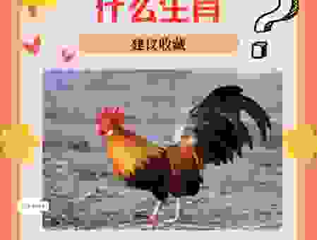 勃然奋励打一正确生肖!看哪个生肖最符合这种精神!