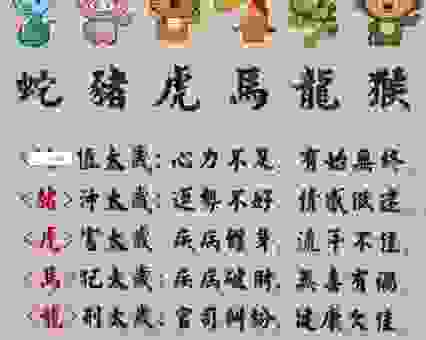 计不旋踵打一最佳准确生肖是什么?快来揭晓谜底