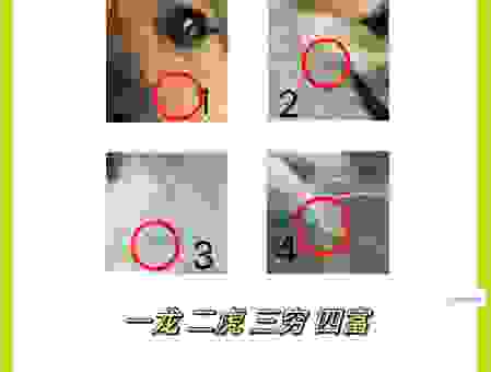 狗头军师打一个正确生肖?带你揭秘背后的生肖答案!