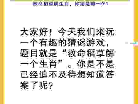 四十相送八过关是什么生肖？老玩家教你如何快速解谜