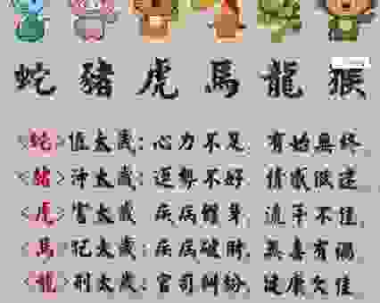 四十相送八过关是什么生肖?老玩家教你如何快速解谜