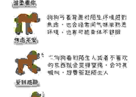 狗窦大开的意思解释及出处，三分钟让你涨知识