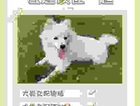 狗窦大开的意思解释及出处,三分钟让你涨知识