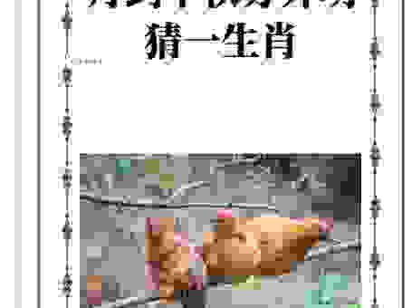 绰有余裕打一正确生肖是谁？带你深度解析生肖谜题！