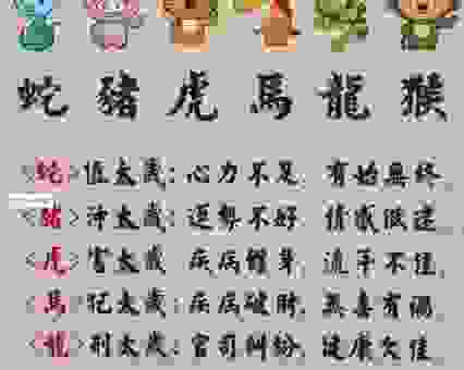 白首空归打一最佳准确生肖，看看到底指的是哪个属相。