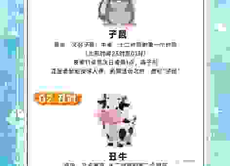 谜底揭晓福地洞天是什么生肖？带你领略生肖传统文化