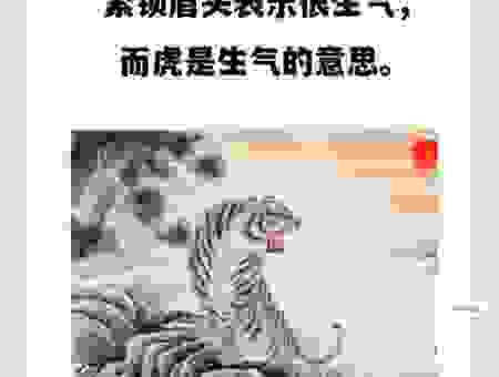 人伦一伦一色一品指的是什么生肖？为你揭秘背后的生肖答案！