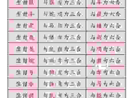井臼亲操打一最佳准确生肖是什么?快来看看你猜对这个生肖没!