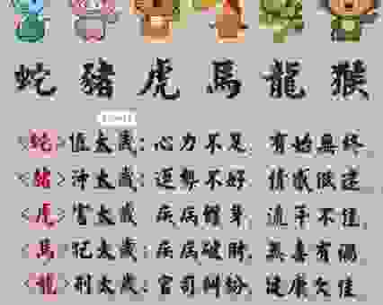 东方情人两家亲是什么生肖？带你深入了解生肖小知识