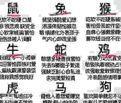 东方情人两家亲是什么生肖?带你深入了解生肖小知识
