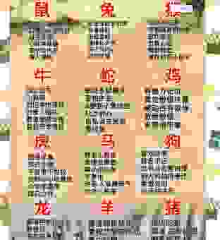 信马由缰是什么生肖？十二生肖中谁最符合这个行为特征？
