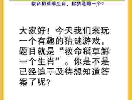 身长体壮不耕田打一准确生肖，简单好猜的生肖谜语大全！