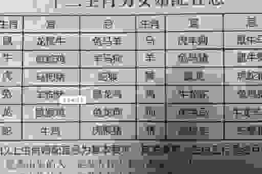君王独宠一美人是什么生肖？带你了解这个谜题的准确答案