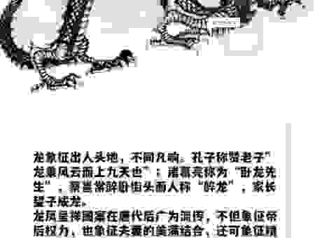 白龙鱼服指什么生肖?带你揭秘这个词背后的生肖谜底!