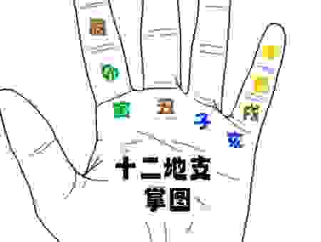 飞天盾地脱魔掌打一准确生肖？解析谜题背后的生肖含义！