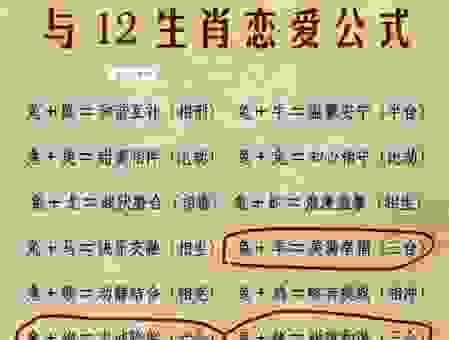 慧眼识兔解读一准确的生肖动物！生肖运势深度分析。