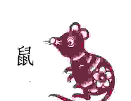 酒食征逐指什么生肖？看懂成语意思轻松猜答案！