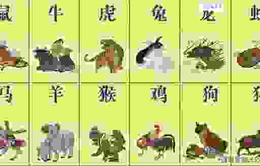 狡猾大胆三大生肖排行榜,看看谁才是真正的智勇双全!