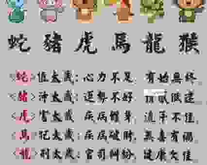 口才好能说会道打一生肖？带你了解生肖背后的文化趣事！