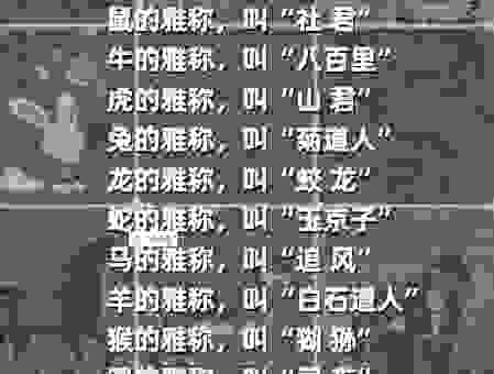 斗酒百篇指的是什么生肖?这几个理由告诉你为什么