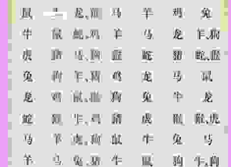 五行八指的是什么生肖?带你揭秘生肖五行的秘密