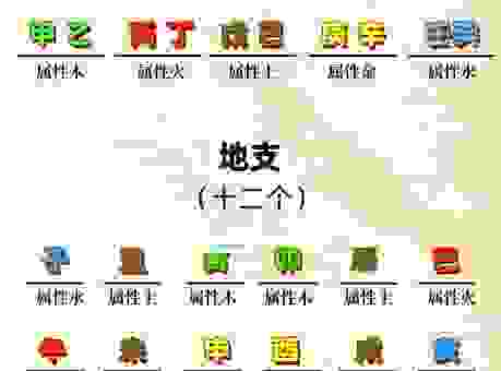 五行八指的是什么生肖？带你揭秘生肖五行的秘密