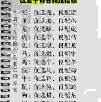 老罴当道指一正确生肖是什么?详细解析带你找准答案!