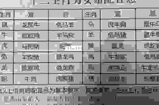 横七竖八真狼藉指的是什么生肖？带你揭开生肖谜底！