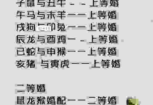 杏园春满是指什么生肖？揭秘这个生肖的真实含义！