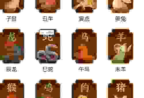 赤龙传奇讲的是什么生肖？原来这个生肖这么特别！