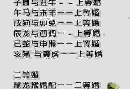 代代为奴的人指什么生肖?看了才明白原来是它!