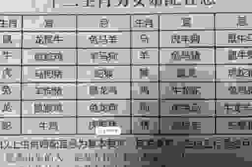 无光的生肖是什么动物？这个秘密太有趣了！