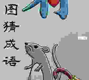 关于无恶不作打一个生肖的答案，你肯定想不到