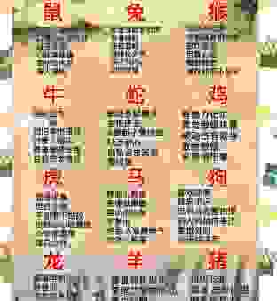 抱团取暖是什么生肖?生肖的这个特点你了解吗?