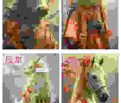 百花齐放是指什么生肖？解读生肖文化一目了然