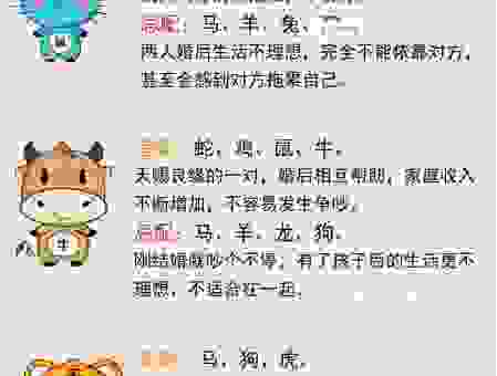 解释闻过则喜是指代表什么生肖,全在这了!
