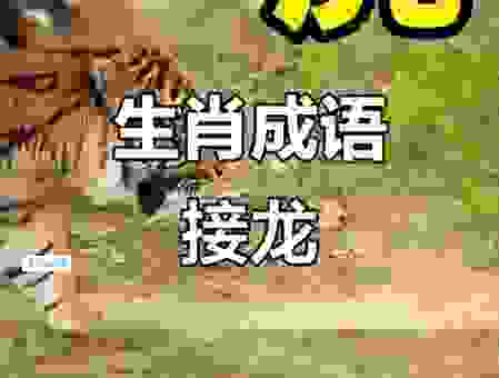 虎头蛇尾打一生肖,答案都在这里了。