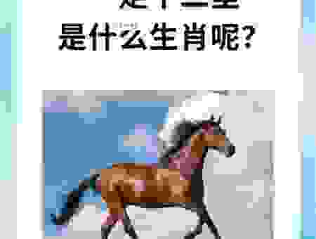 车辙马迹打一生肖啥意思？这些生肖特征很明显