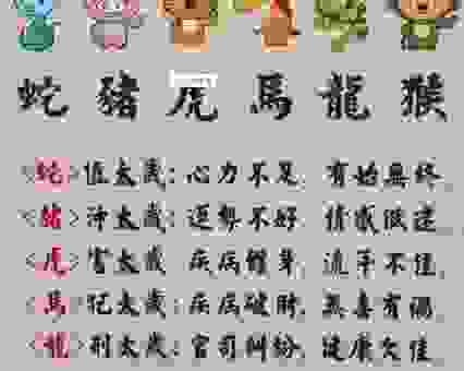 民间流传肥遁鸣高猜一最正确的生肖，听听都对！
