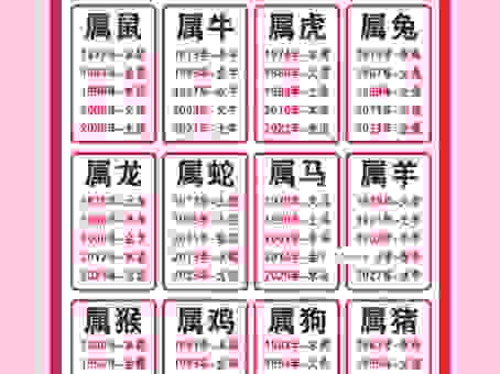 冰壶秋月是什么生肖？这几个生肖最有可能是答案。