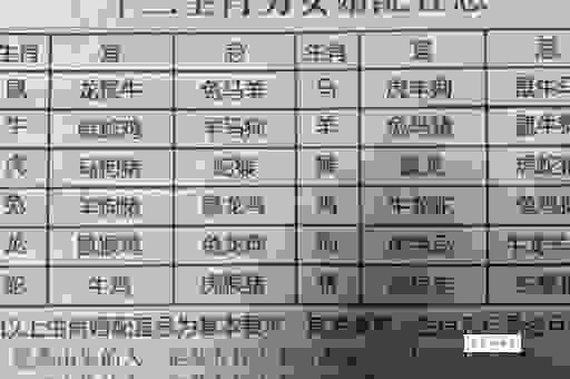 阳春白雪打一肖，属相揭秘答案在这里！