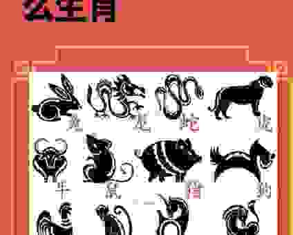 四海一家是啥生肖？简单方法教你轻松破解！