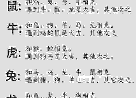 运转乾坤代表什么生肖?了解这些让你一目了然!