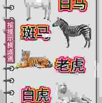 你知道富奇驭虎是指什么生肖吗?答案就在这里!