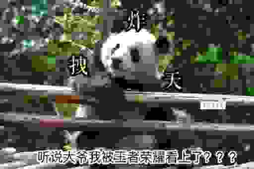 你是要把它夹断吗太子头条文章怎么玩？老玩家带你飞